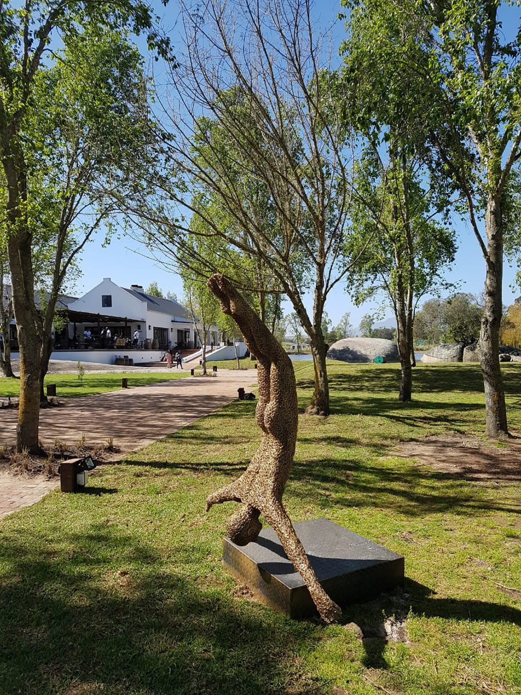 The craft Market at Spier 2018-2019 - wire sculpture and walkway to market from Wine Tasting Centre