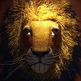 Décor Design and Styling button